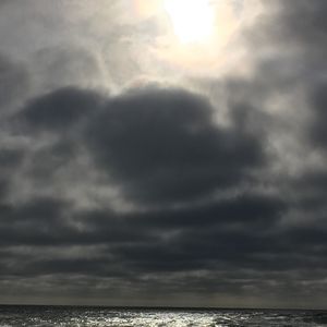 Meet your Posher, Misty